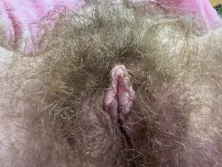Cigar and hairy bush